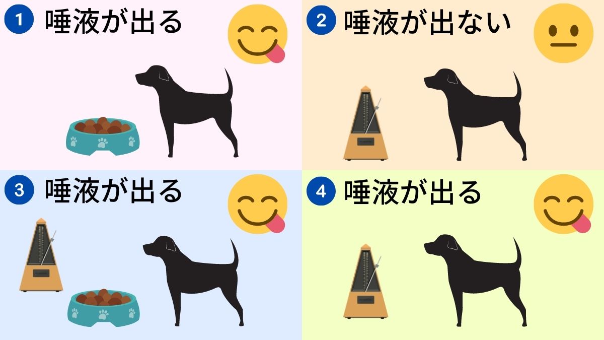 パブロフの犬の実験