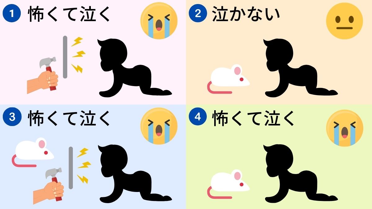 アルバート坊やの実験