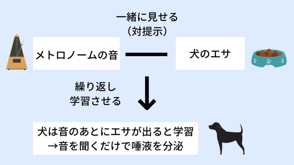 古典的条件付けとオペラント条件付け
