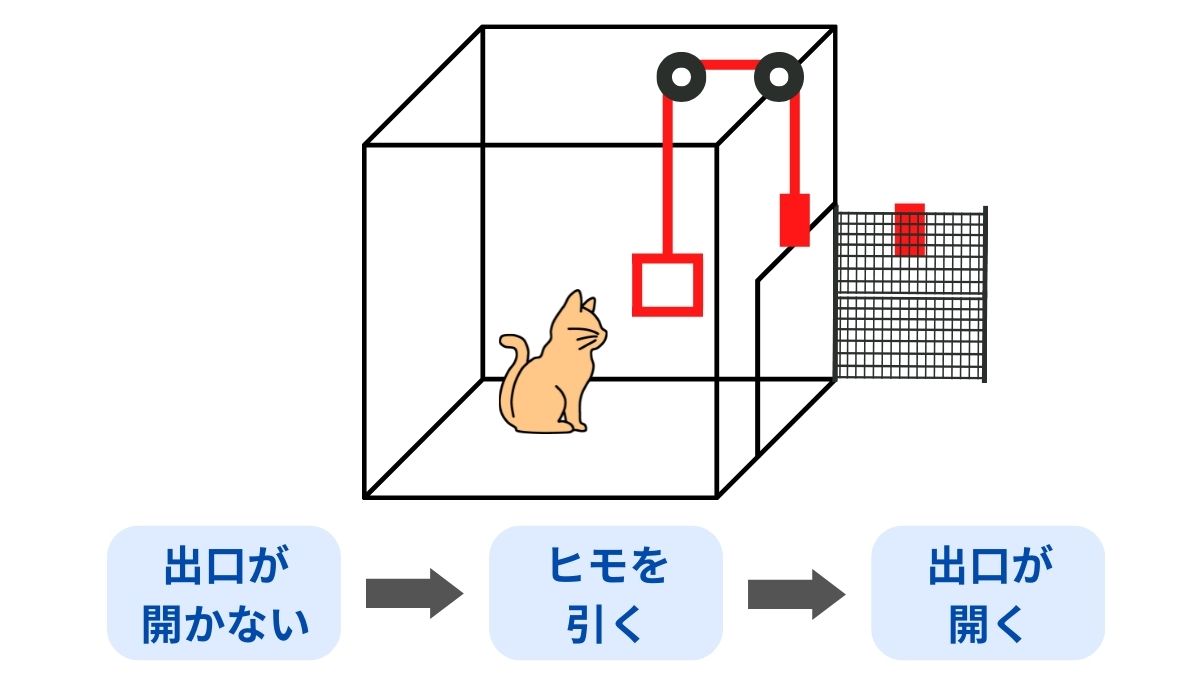 ソーンダイク 効果 の 法則