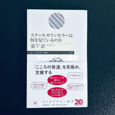 スクールカウンセラーは何を見ているのか